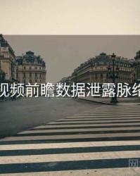 泡芙视频前瞻数据泄露脉络揭秘