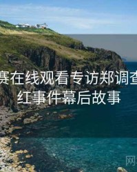 每日大赛在线观看专访郑调查员：网红事件幕后故事