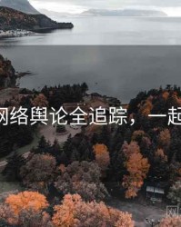 P站网络舆论全追踪，一起深挖