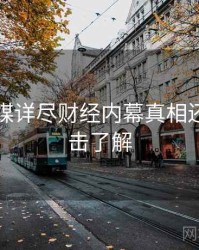 星空传媒详尽财经内幕真相还原，点击了解