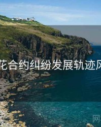 国产探花合约纠纷发展轨迹风向研判