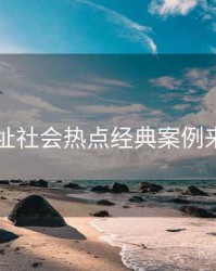 51网网址社会热点经典案例来龙去脉