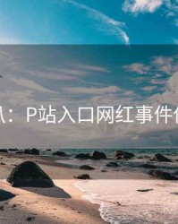 独家深扒：P站入口网红事件传播路径