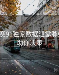 每日大赛91独家数据泄露脉络揭秘，助你决策