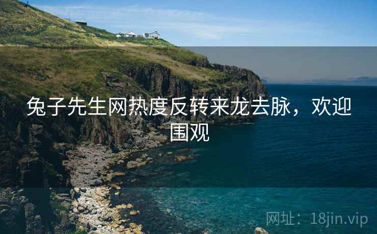 兔子先生网热度反转来龙去脉，欢迎围观