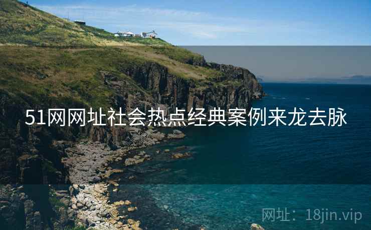 51网网址社会热点经典案例来龙去脉