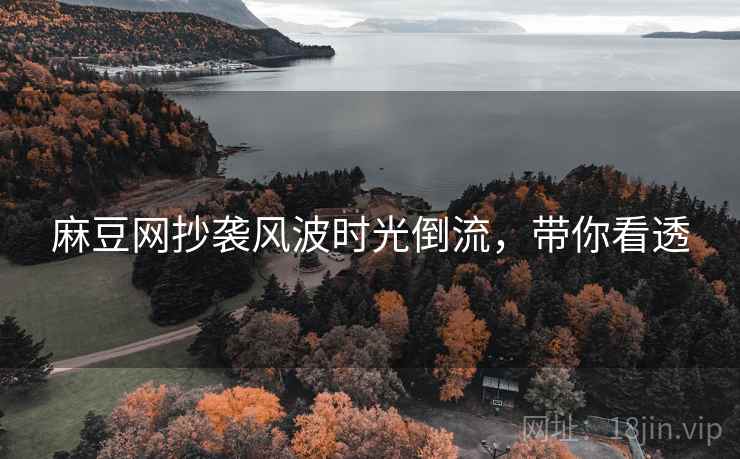 麻豆网抄袭风波时光倒流，带你看透