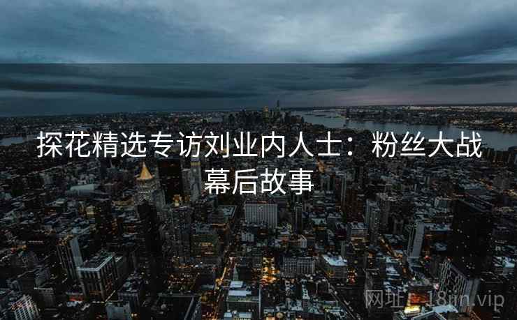 探花精选专访刘业内人士：粉丝大战幕后故事