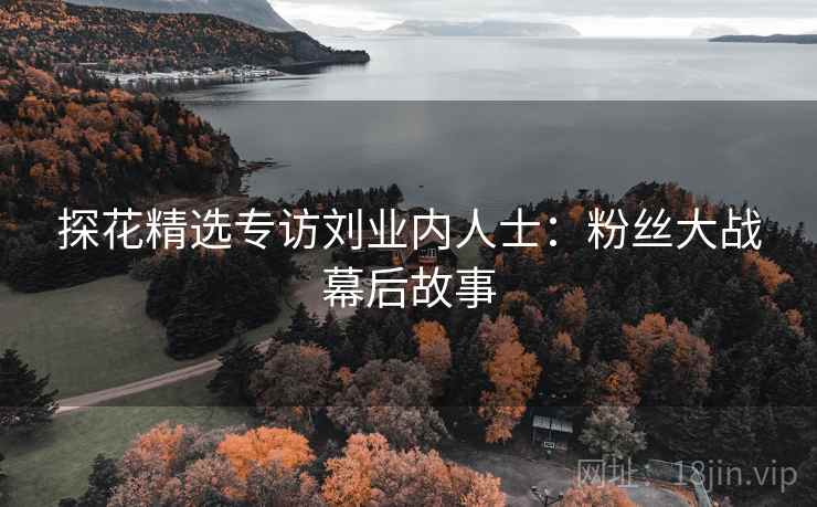 探花精选专访刘业内人士：粉丝大战幕后故事