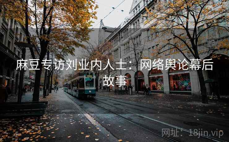 麻豆专访刘业内人士：网络舆论幕后故事