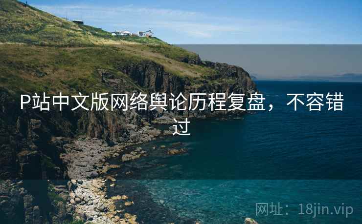 P站中文版网络舆论历程复盘，不容错过