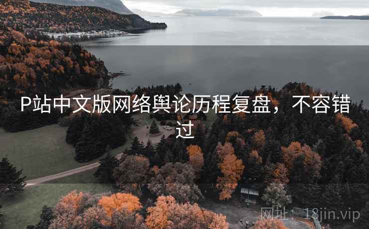 P站中文版网络舆论历程复盘，不容错过