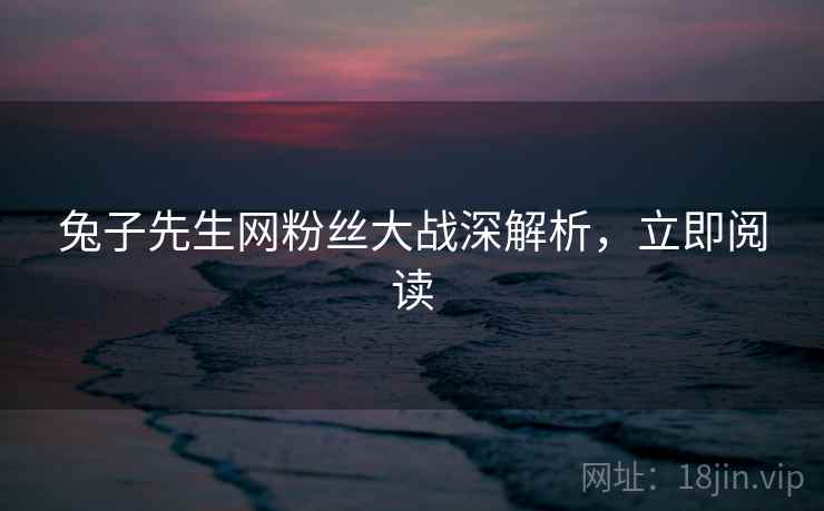 兔子先生网粉丝大战深解析，立即阅读