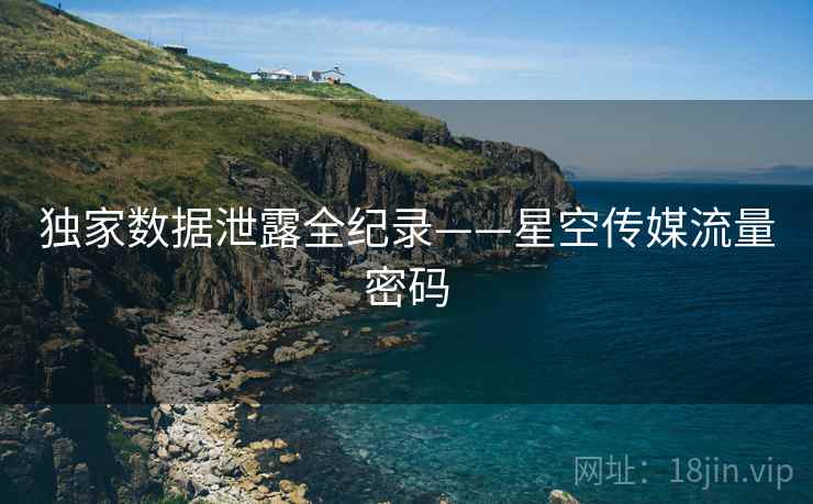 独家数据泄露全纪录——星空传媒流量密码