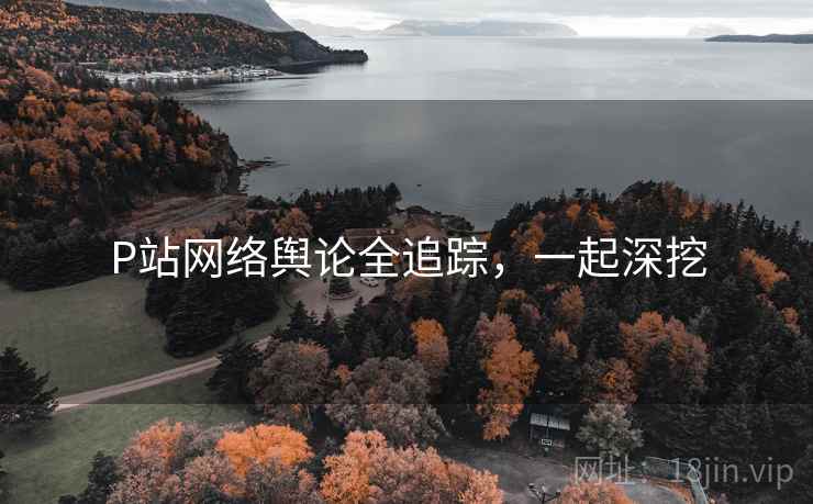 P站网络舆论全追踪，一起深挖