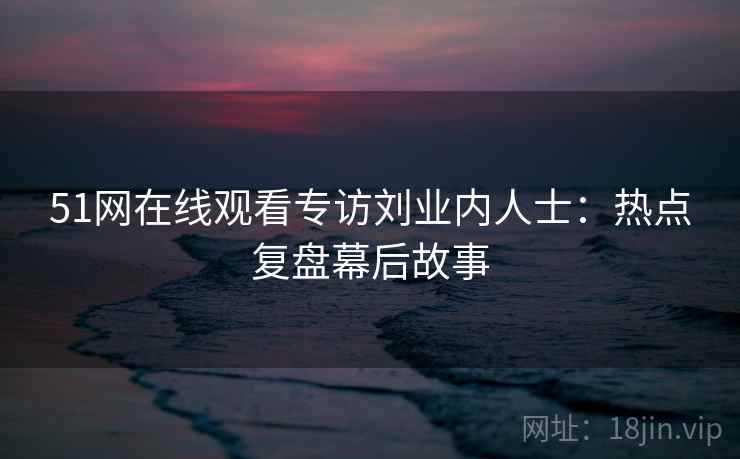 51网在线观看专访刘业内人士：热点复盘幕后故事
