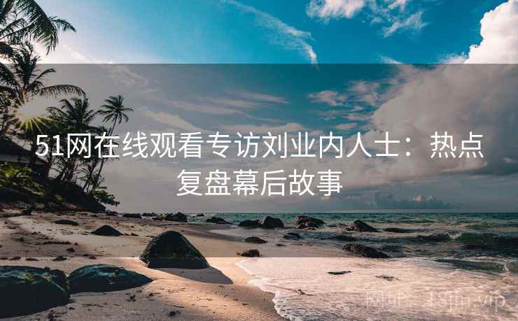 51网在线观看专访刘业内人士：热点复盘幕后故事