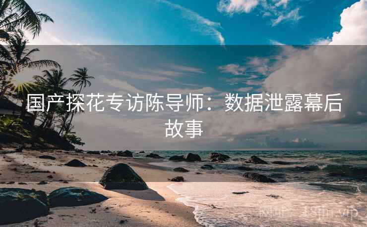 国产探花专访陈导师：数据泄露幕后故事
