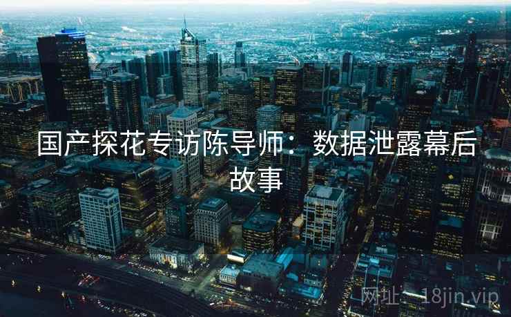国产探花专访陈导师：数据泄露幕后故事