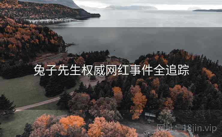 兔子先生权威网红事件全追踪