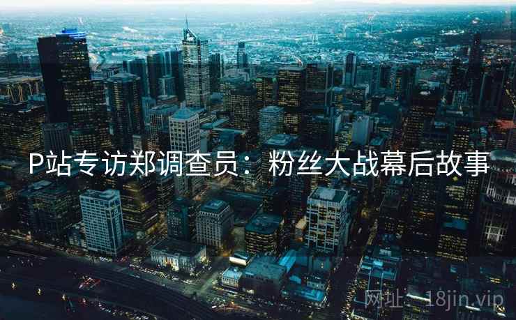 P站专访郑调查员：粉丝大战幕后故事