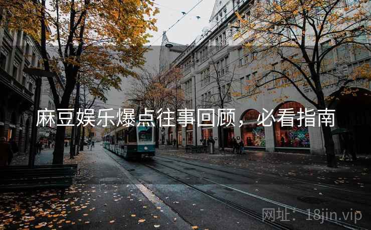 麻豆娱乐爆点往事回顾，必看指南