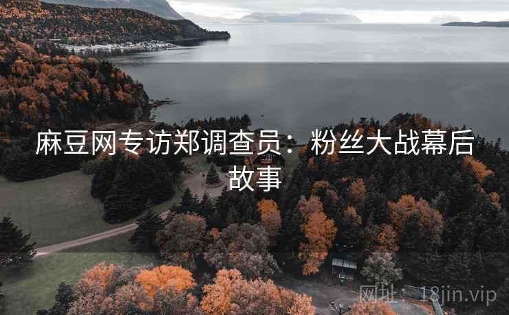 麻豆网专访郑调查员：粉丝大战幕后故事