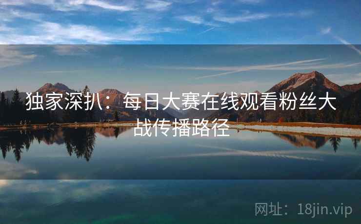 独家深扒：每日大赛在线观看粉丝大战传播路径